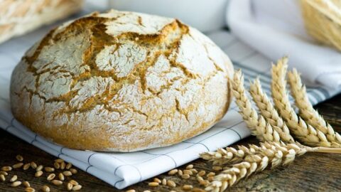 Wegmans Garlic Tuscan Bread Recipe