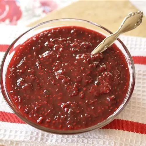 Raspberry Chipotle Sauce